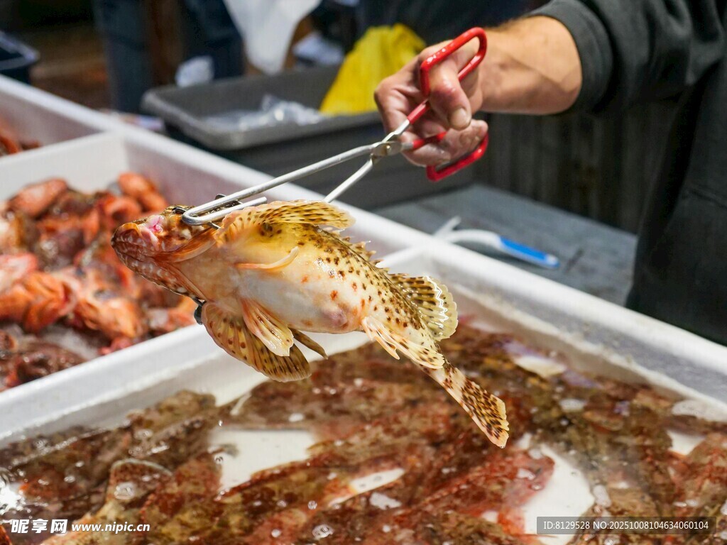 海鲜市场挑选新鲜贝类