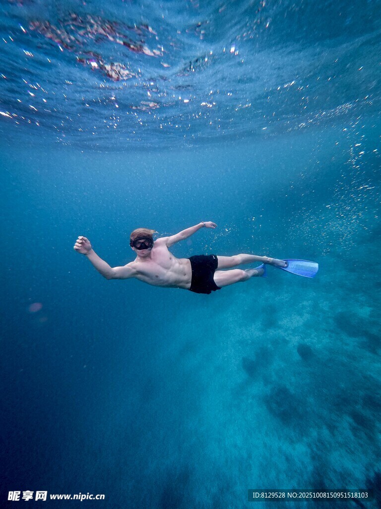 男子海中自由潜水画面