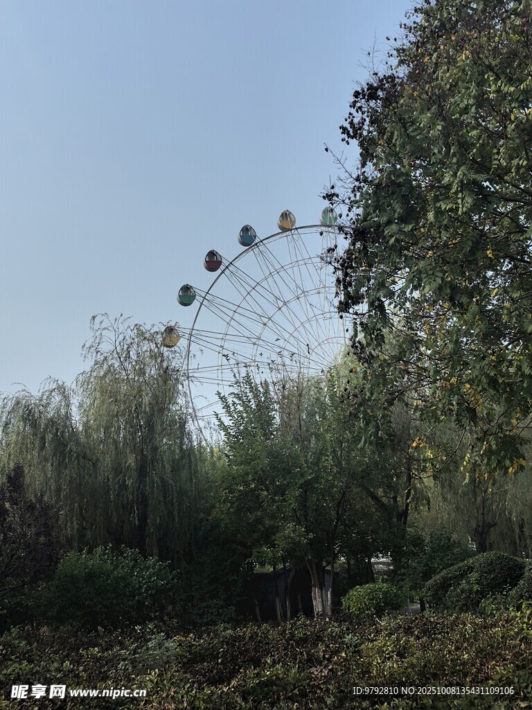 树林间隐约可见的摩天轮