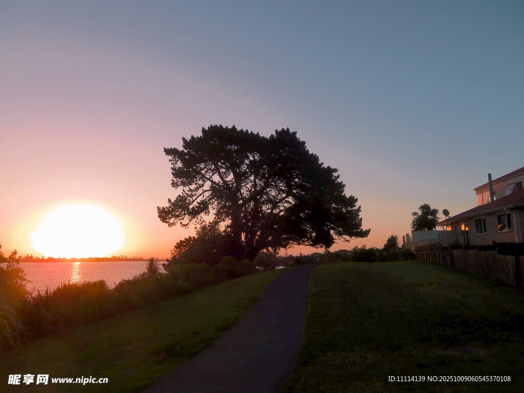 夕阳下的海滨小路与树木