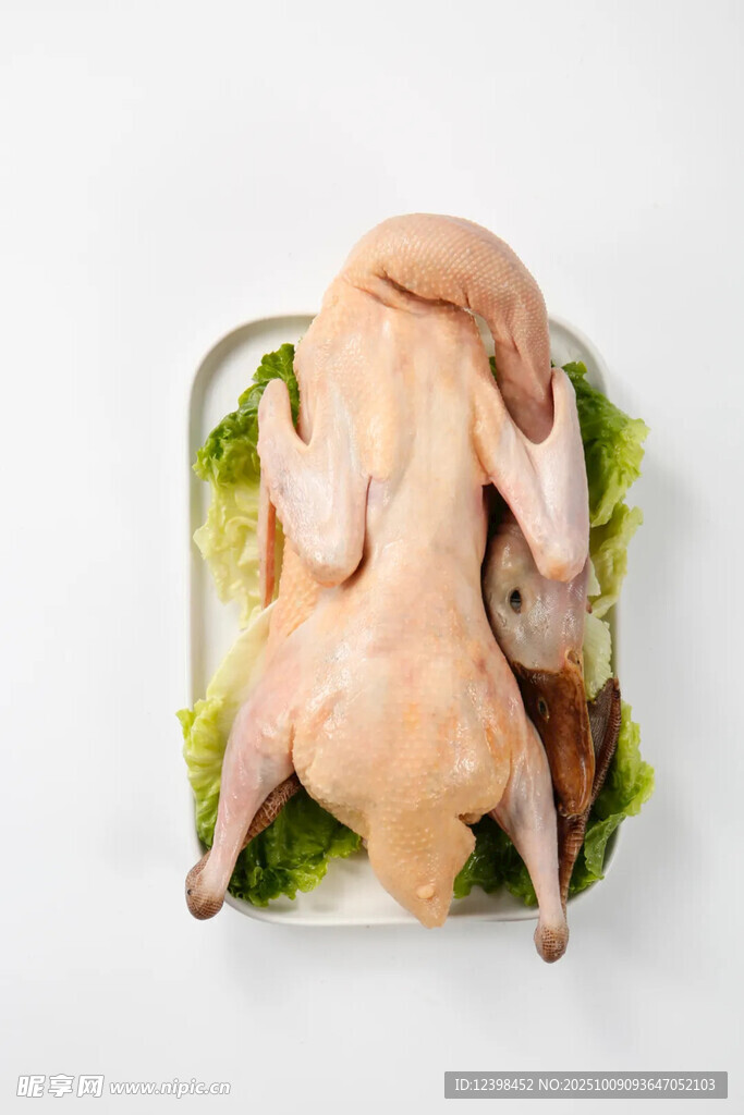新鲜整只生鸡肉