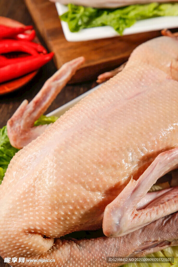 鸭肉
