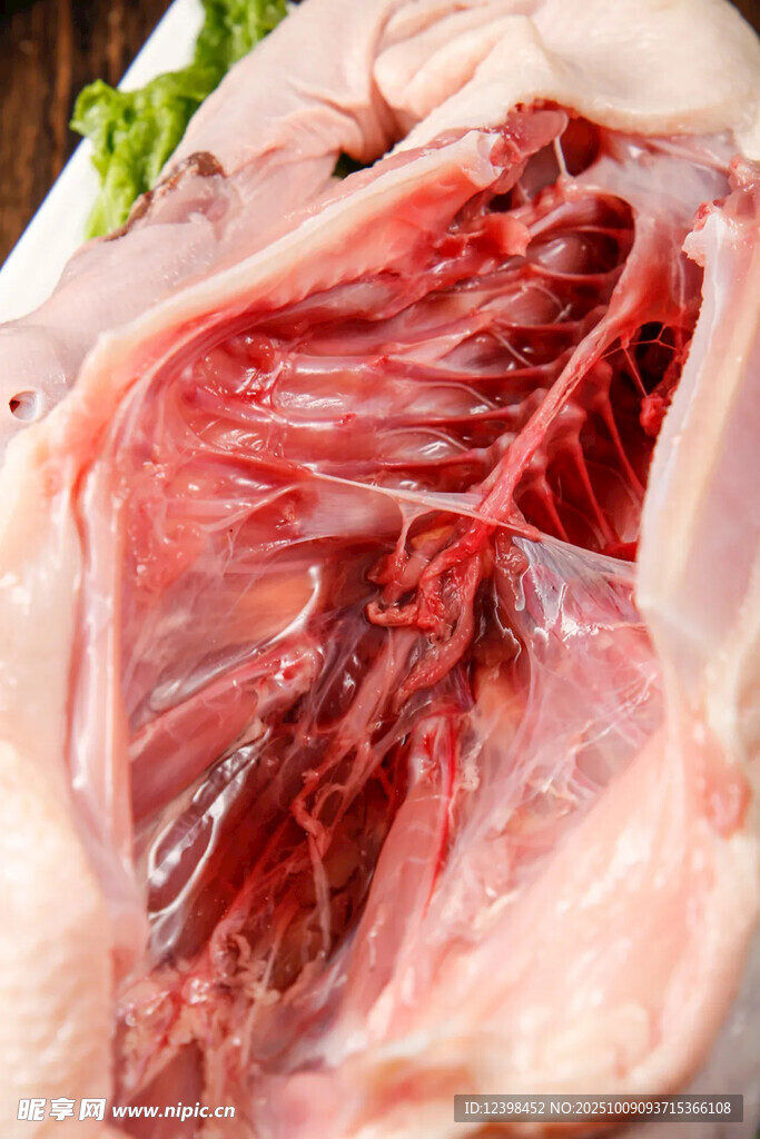 鸭肉