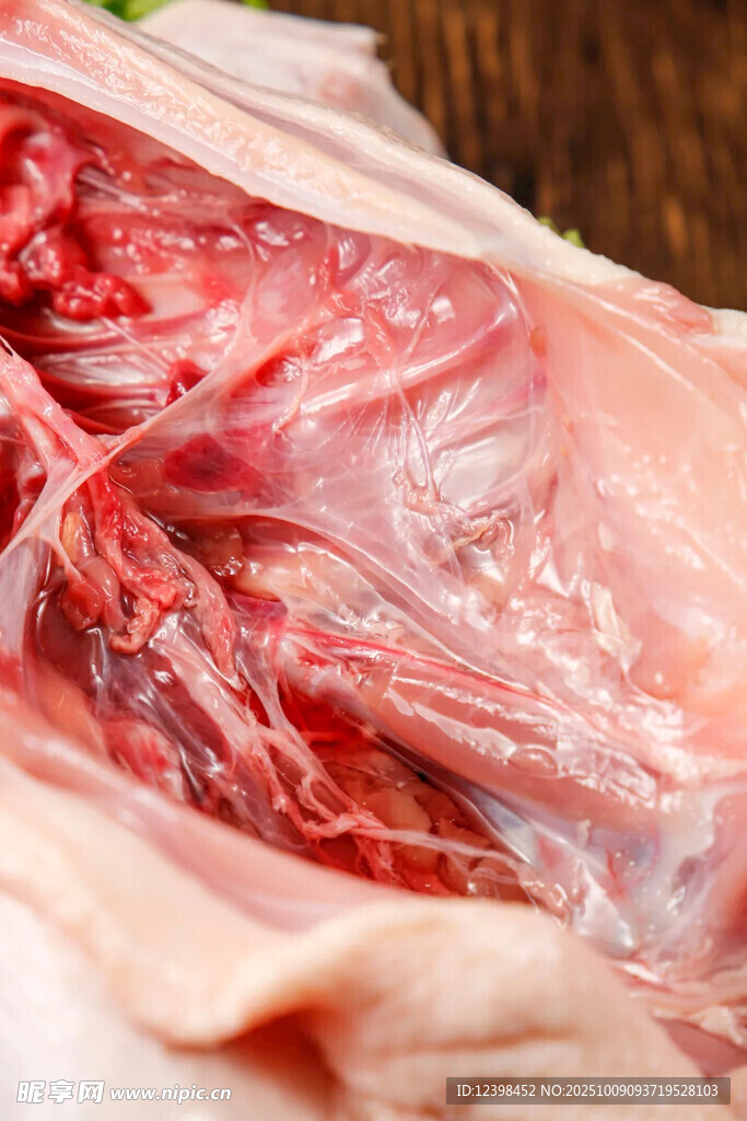 鸭肉