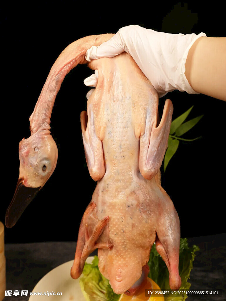 鸭子