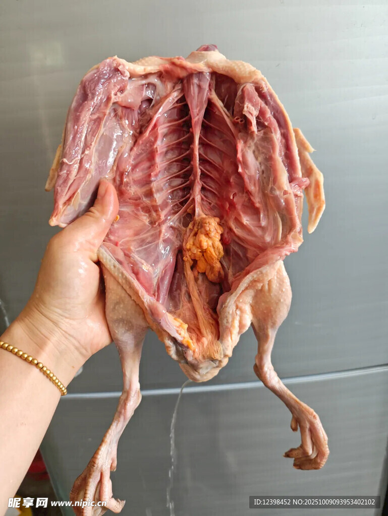 新鲜生鸡肉
