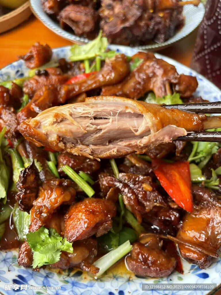 美味酱烧鸭肉摆盘