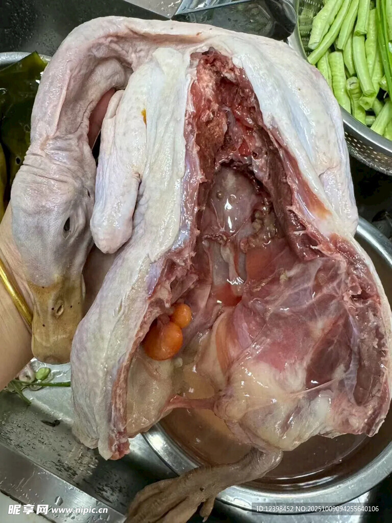 新鲜整只生禽待烹饪
