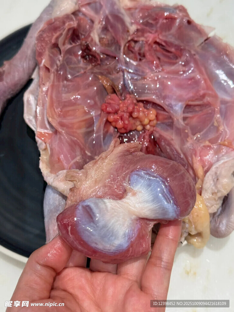 新鲜生羊杂特写