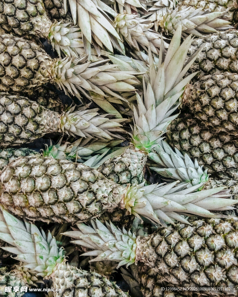 一堆新鲜的菠萝