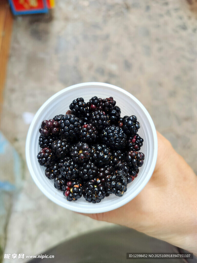 手捧一碗新鲜桑葚