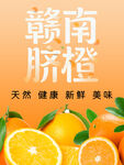 赣南脐橙海报