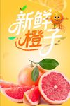 橙子海报