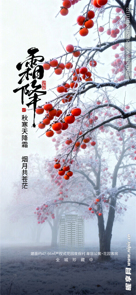 地产霜降海报