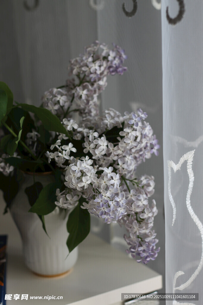 丁香花