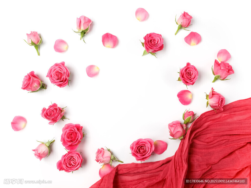 玫瑰花
