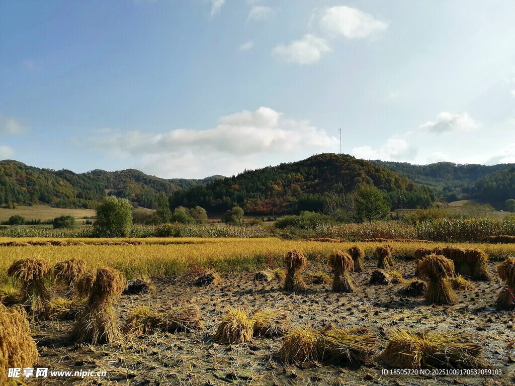 秋日田野风光