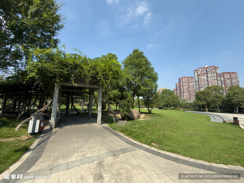 城市公园中的惬意休闲场景