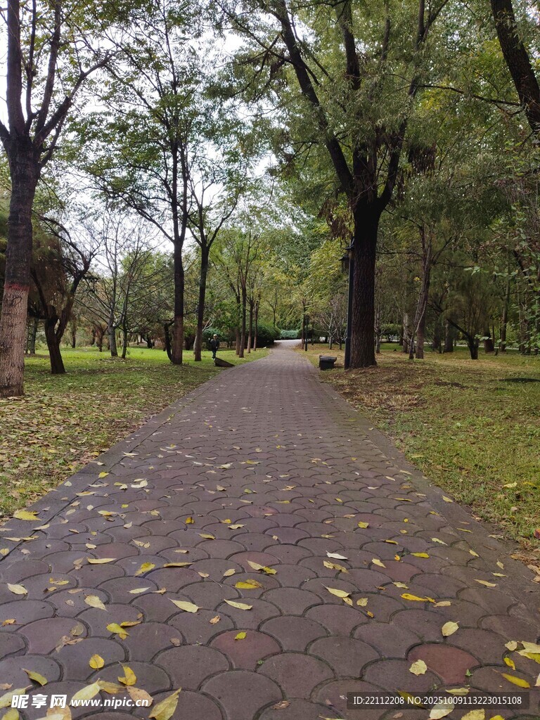 雨后公园小道