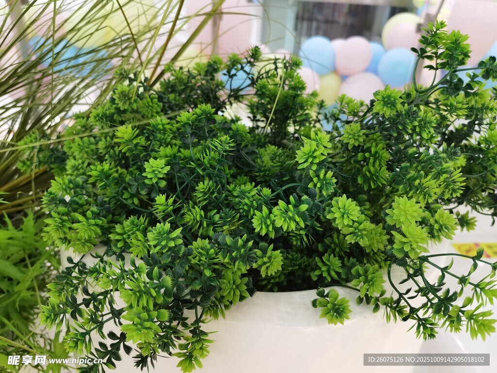 翠绿仿真盆栽植物清新景致