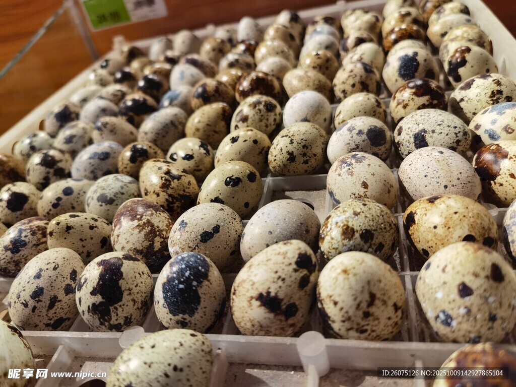 满满一箱鹌鹑蛋待售