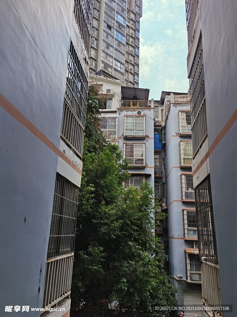 老旧居民楼间的绿植景观