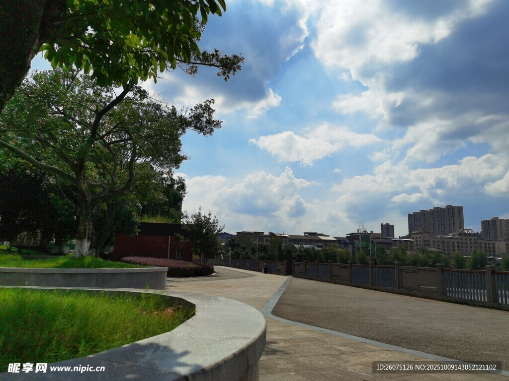 城市公园中的开阔休闲场景