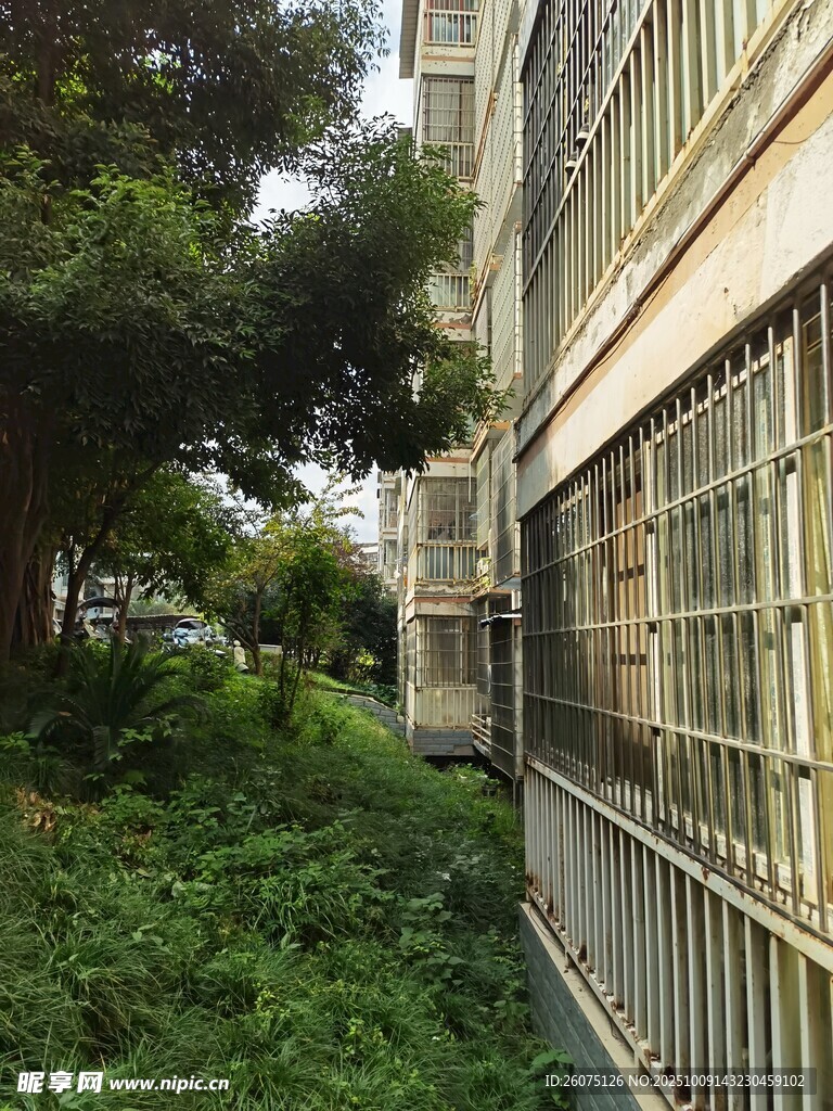 楼旁绿植环绕的幽静角落