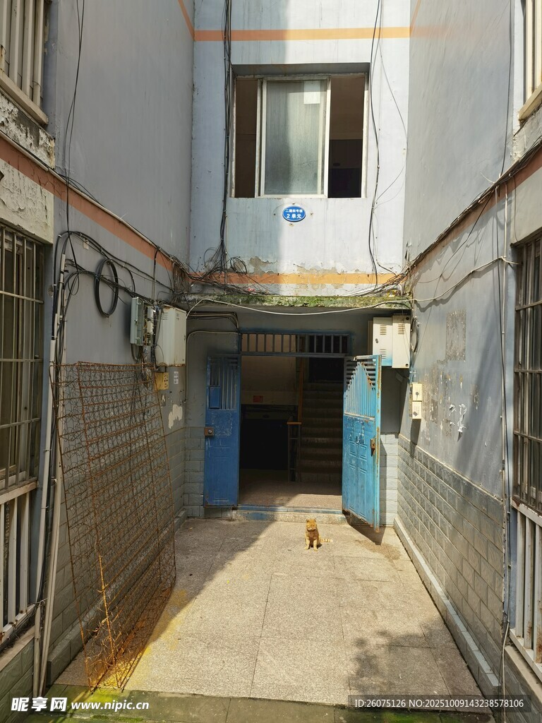 狭窄小巷中的铁门场景