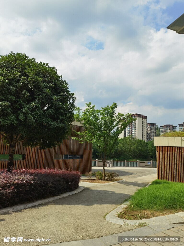 宁静庭院景观