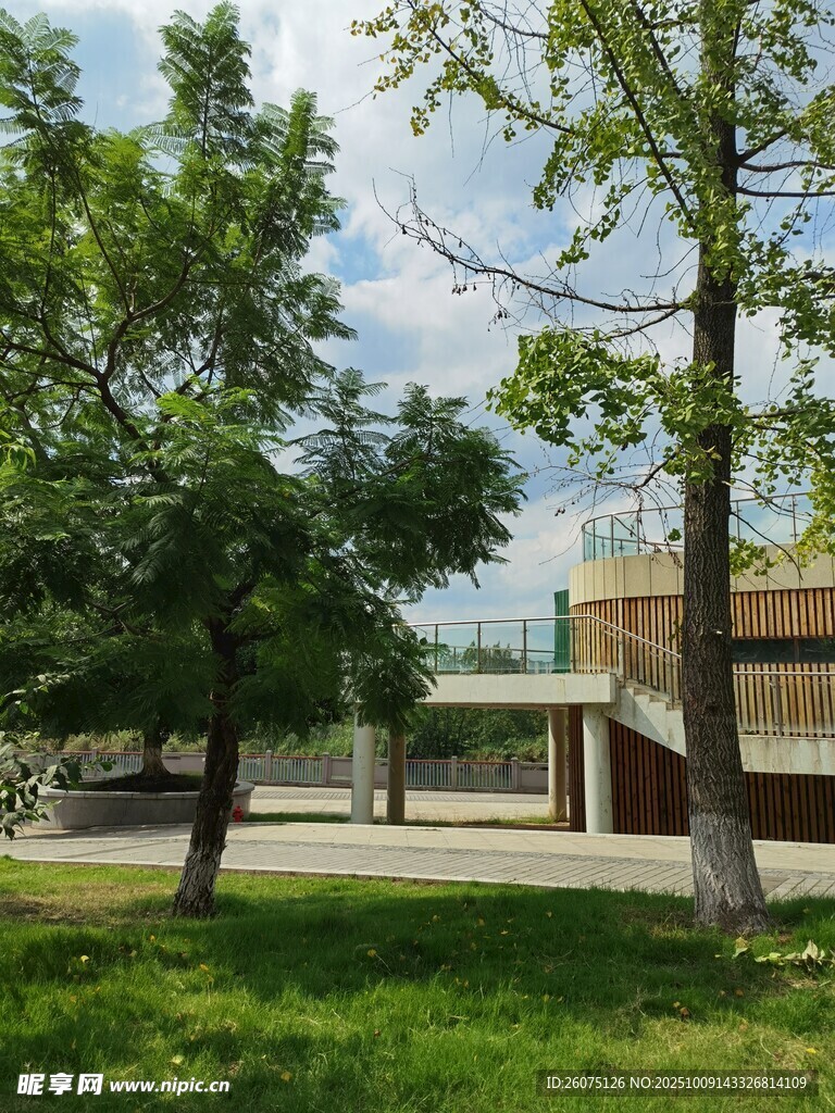 校园绿树草地建筑景观