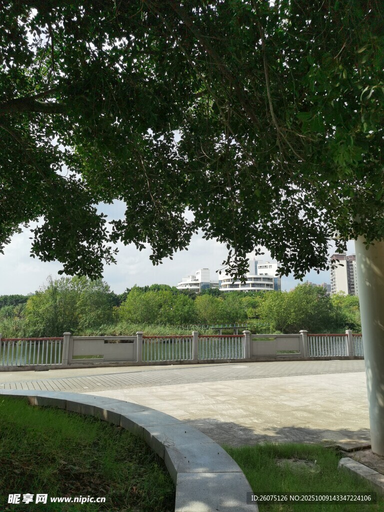 河畔绿荫下的宁静小径