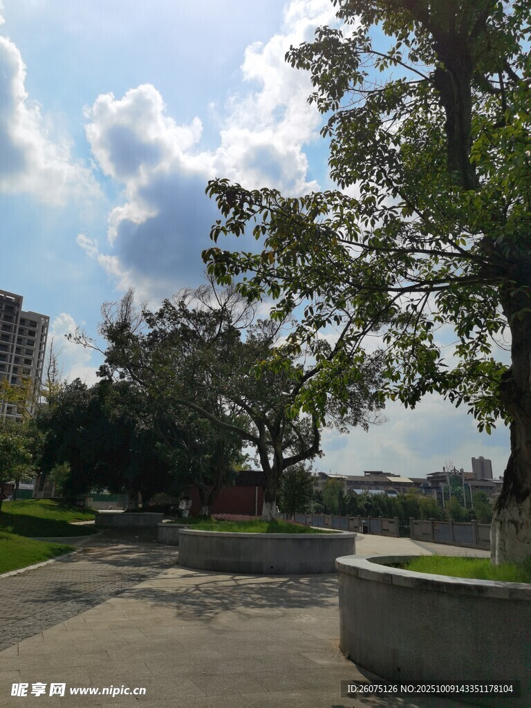 城市公园的宁静景致
