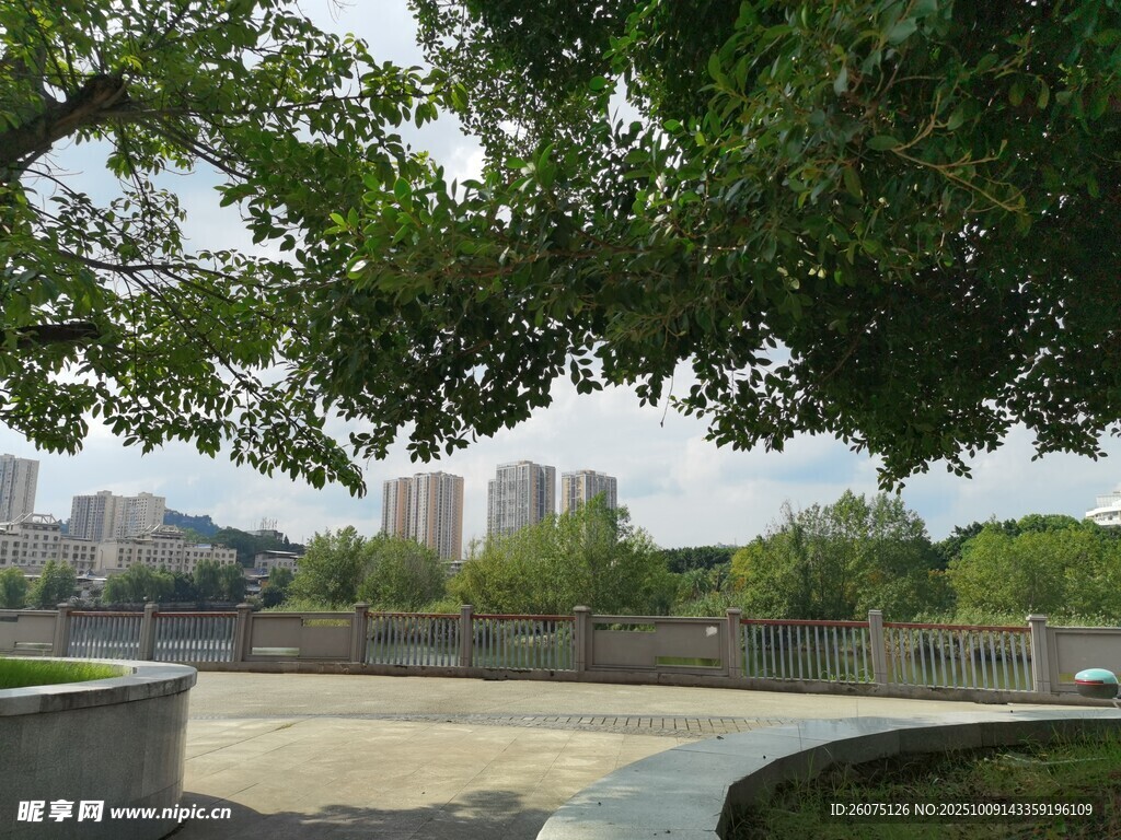 城市公园绿树环绕景致