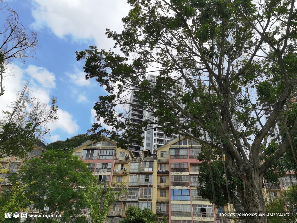 山间多彩建筑与葱郁树木