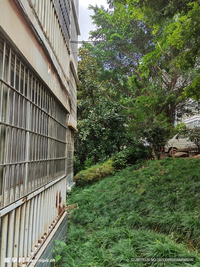 窗外绿意盎然的自然景致