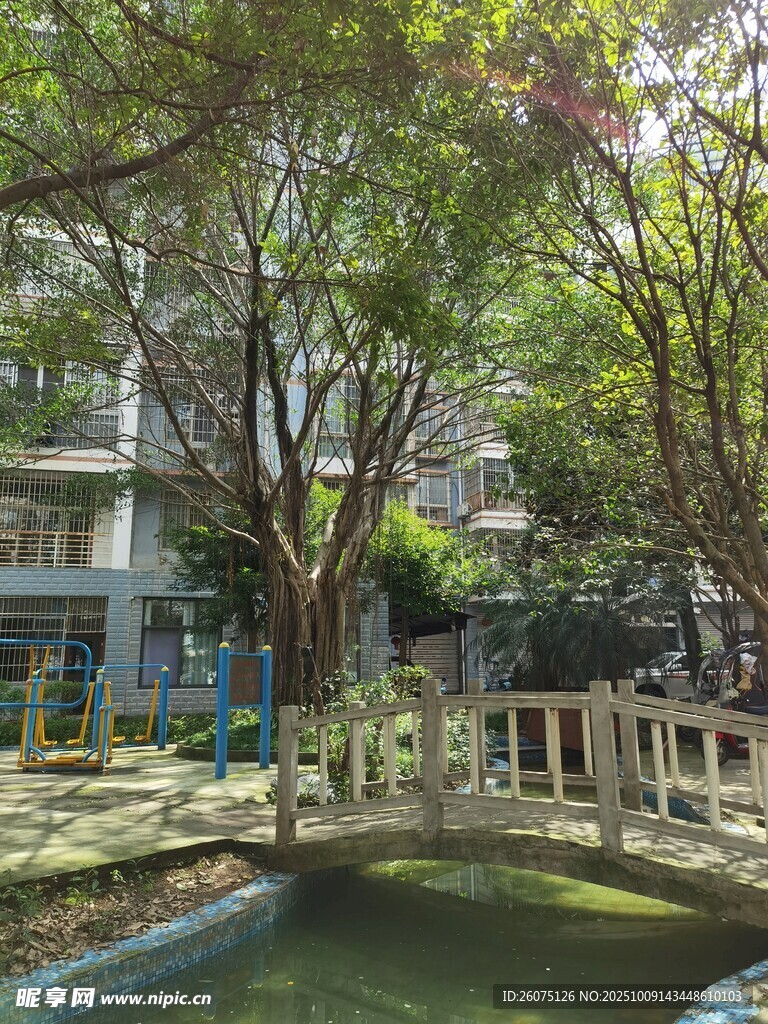 小区内的静谧休闲景观