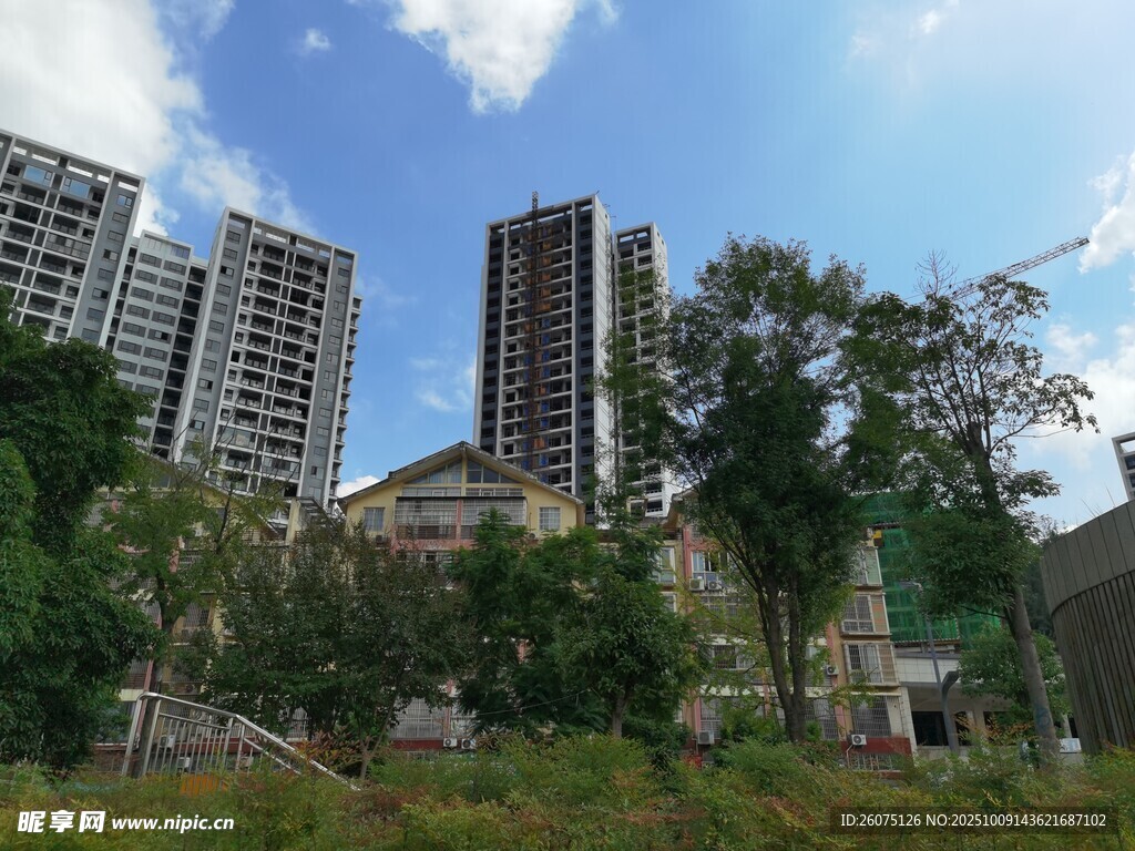 城市废墟旁的高楼与绿植