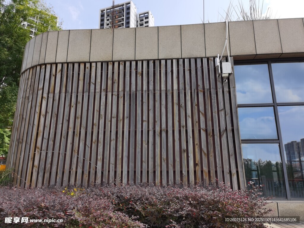 现代建筑外观与绿植景观