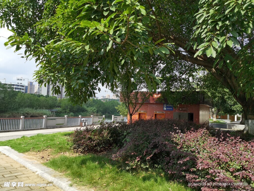 路边绿荫下的红顶小建筑