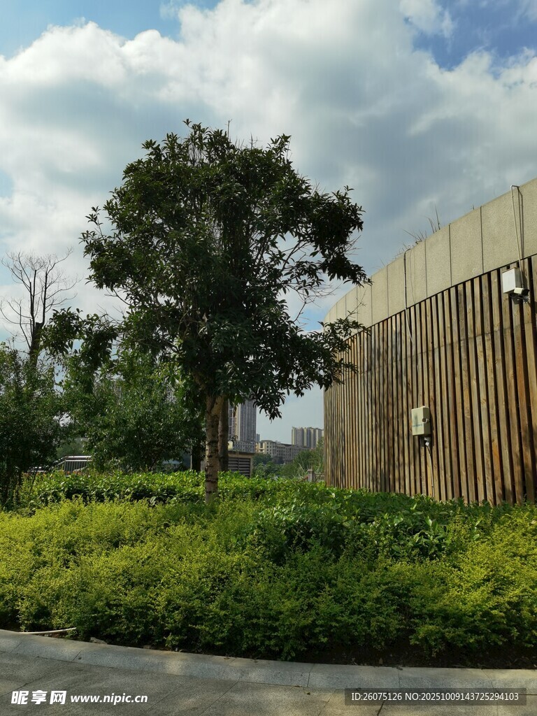 户外绿植与木质围栏景观