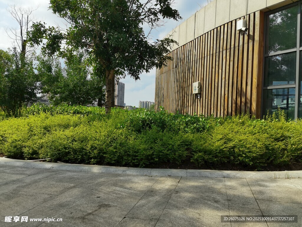 户外绿植环绕的建筑景观