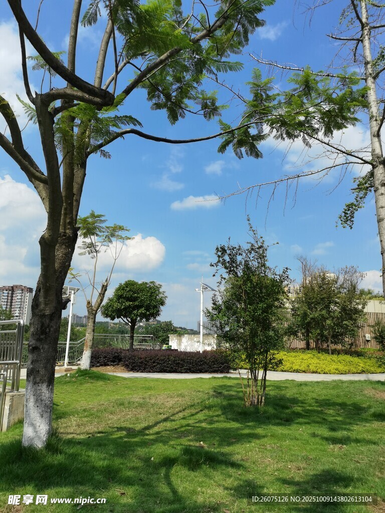 户外清新绿意园林景致