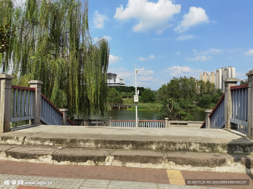 河畔垂柳下的宁静步道