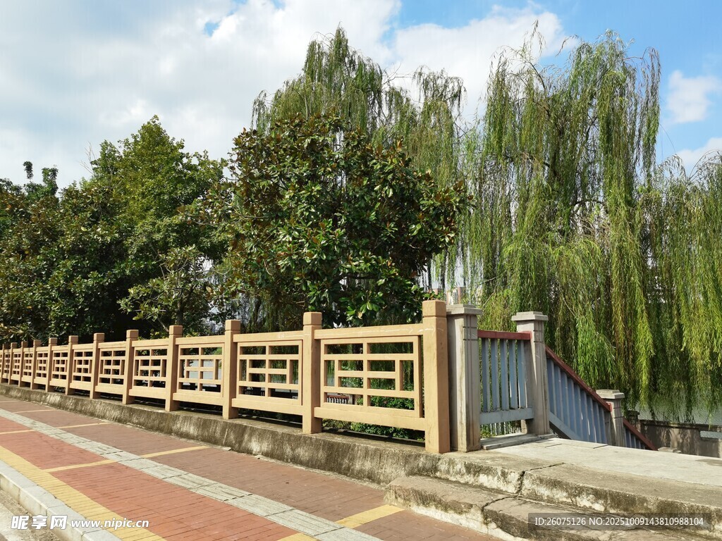 河畔木质护栏风景