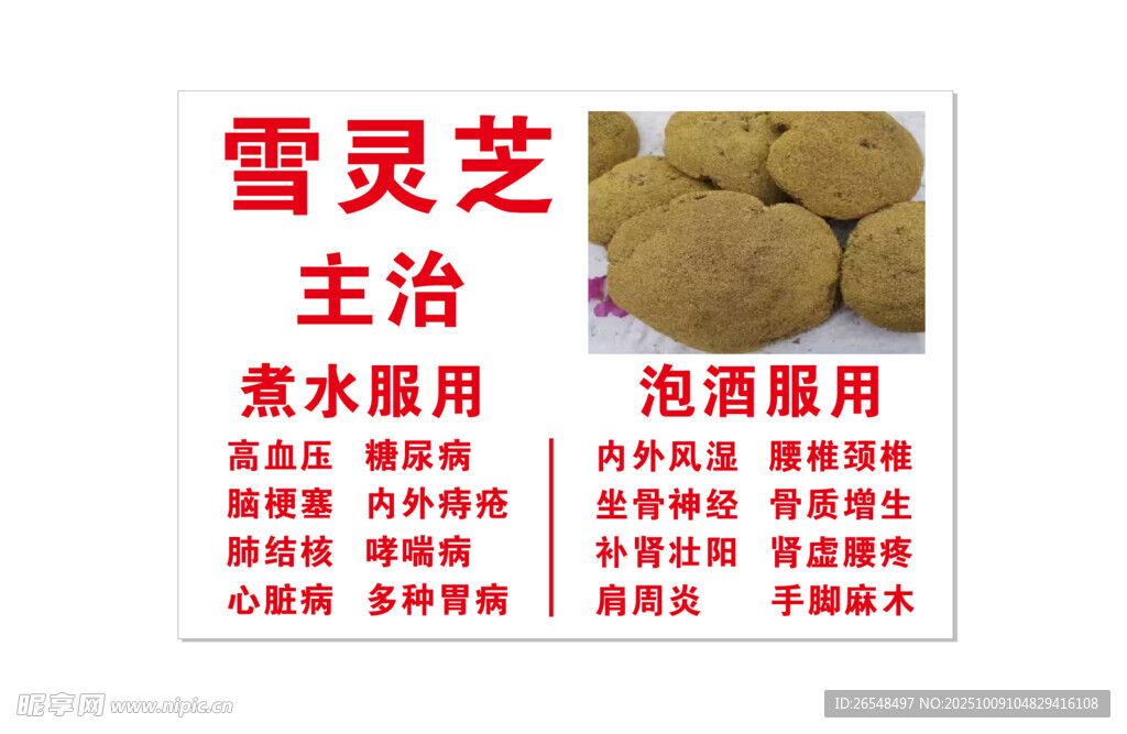 雪灵芝主治功效介绍