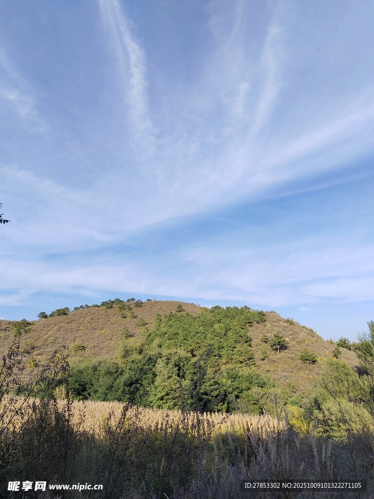 蓝天绿野山丘风景图