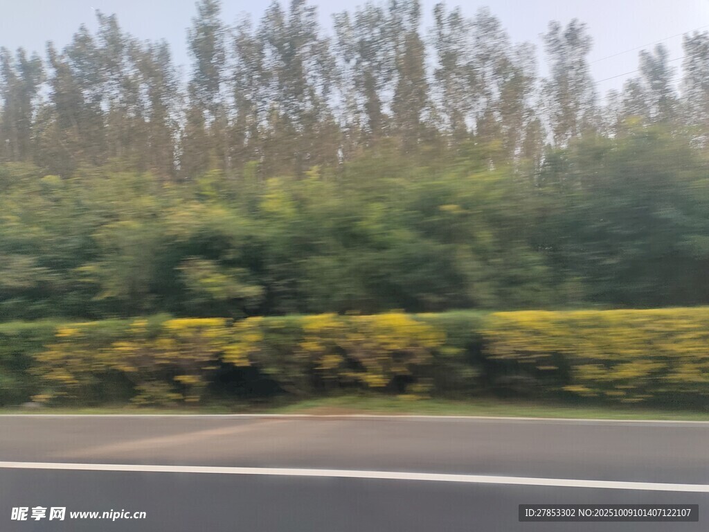 公路旁的绿植景观
