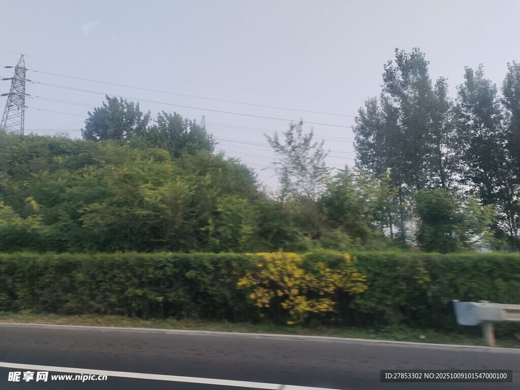 路边绿植景观