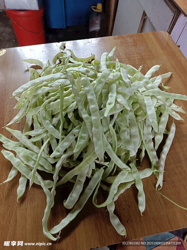 一堆新鲜的绿色蔬菜